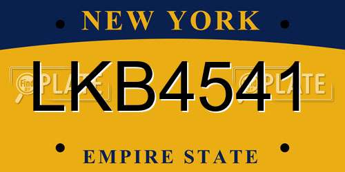 LKB4541 New York License Plate