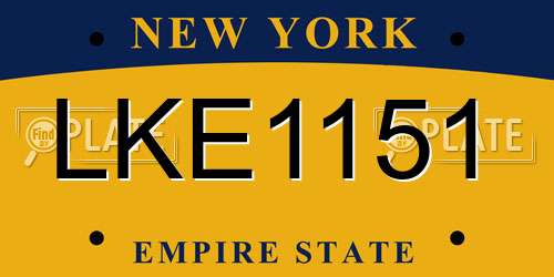 LKE1151 New York License Plate
