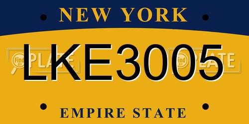 LKE3005 New York License Plate