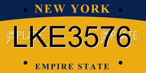 LKE3576 New York License Plate