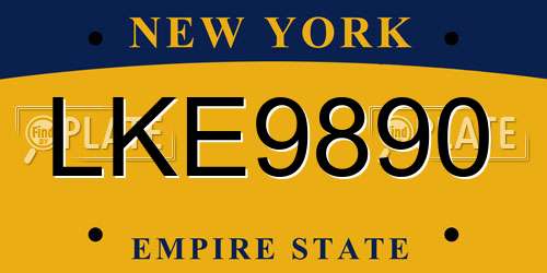 LKE9890 New York License Plate