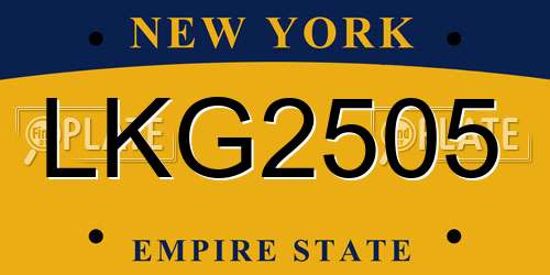 LKG2505 New York License Plate