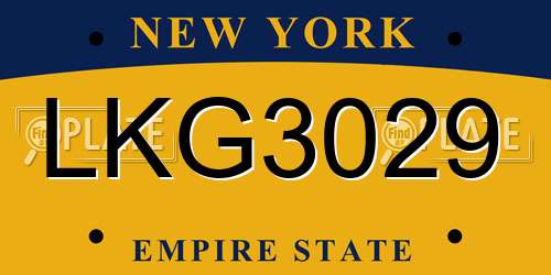 LKG3029 New York License Plate