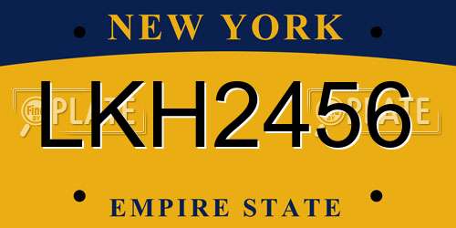 LKH2456 New York License Plate