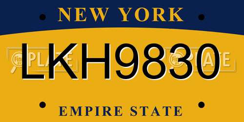LKH9830 New York License Plate
