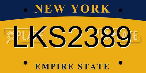 LKS2389 New York License Plate