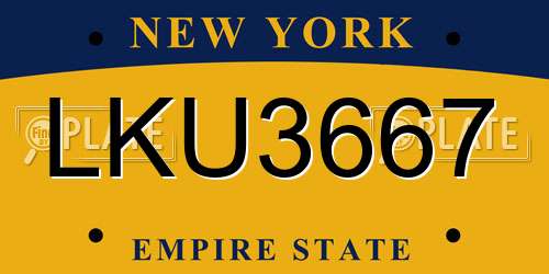 LKU3667 New York License Plate