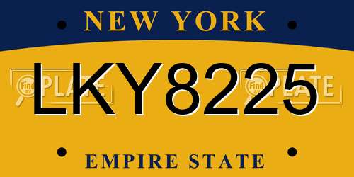LKY8225 New York License Plate