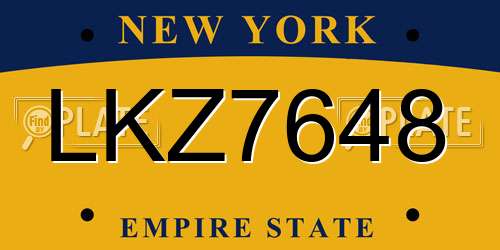 LKZ7648 New York License Plate