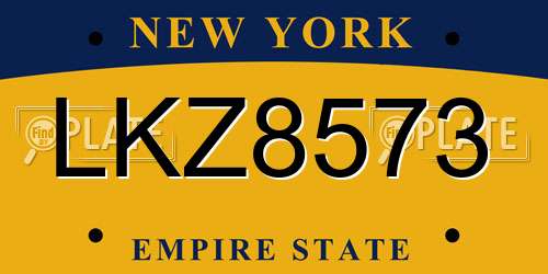 LKZ8573 New York License Plate