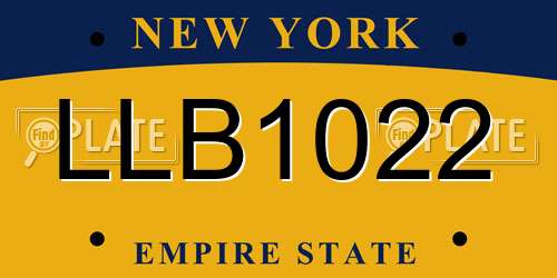 LLB1022 New York License Plate