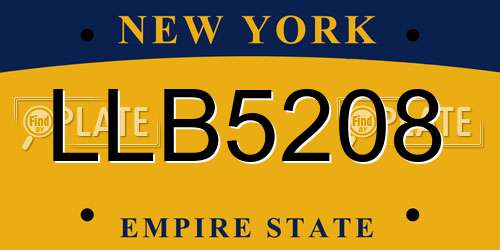 LLB5208 New York License Plate