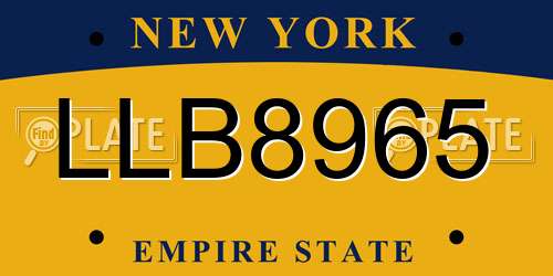 LLB8965 New York License Plate