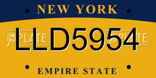 LLD5954 New York License Plate