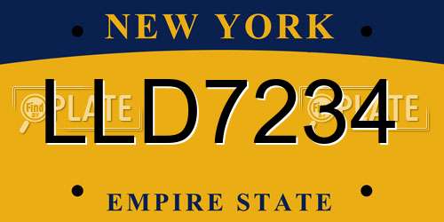 LLD7234 New York License Plate
