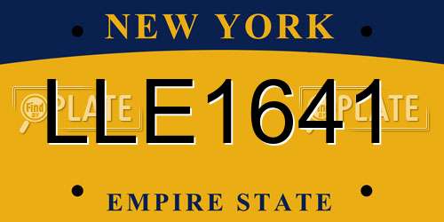 LLE1641 New York License Plate