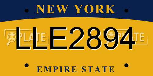 LLE2894 New York License Plate