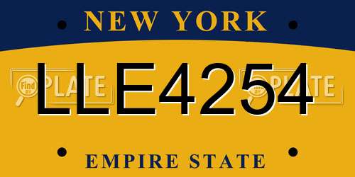 LLE4254 New York License Plate