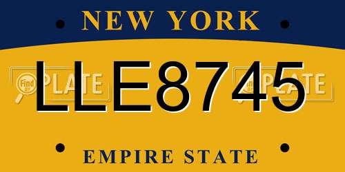 LLE8745 New York License Plate
