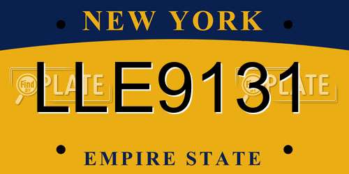 LLE9131 New York License Plate