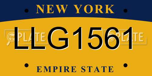 LLG1561 New York License Plate
