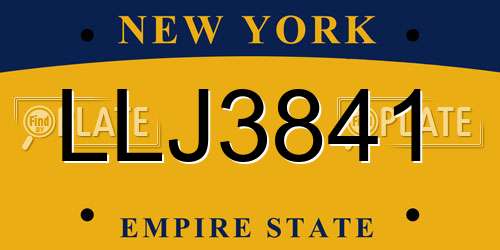 LLJ3841 New York License Plate