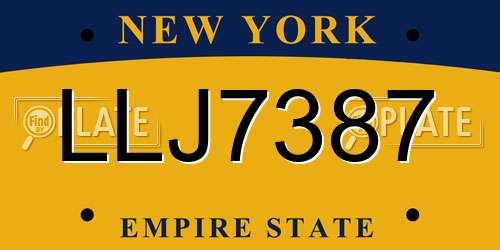 LLJ7387 New York License Plate