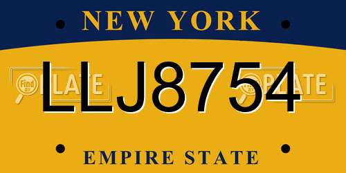 LLJ8754 New York License Plate