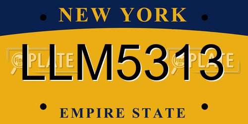 LLM5313 New York License Plate
