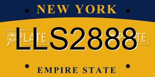 LLS2888 New York License Plate