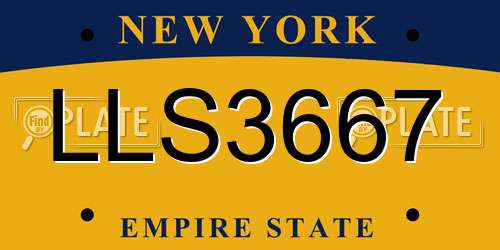 LLS3667 New York License Plate