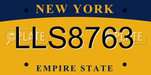 LLS8763 New York License Plate