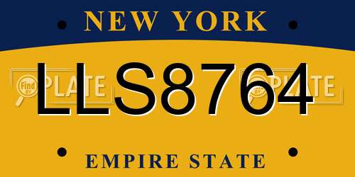 LLS8764 New York License Plate