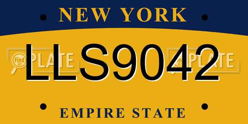 LLS9042 New York License Plate