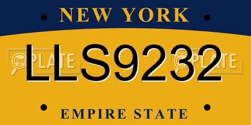 LLS9232 New York License Plate