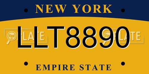 LLT8890 New York License Plate