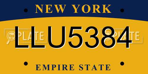 LLU5384 New York License Plate