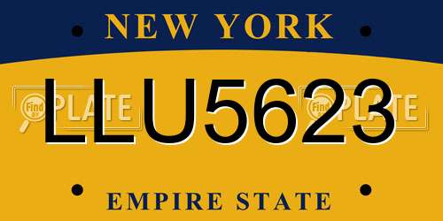 LLU5623 New York License Plate