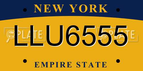 LLU6555 New York License Plate