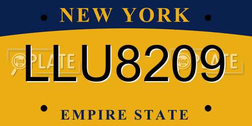 LLU8209 New York License Plate