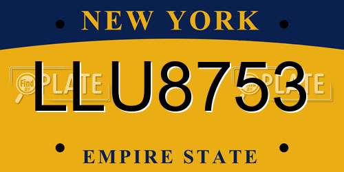 LLU8753 New York License Plate