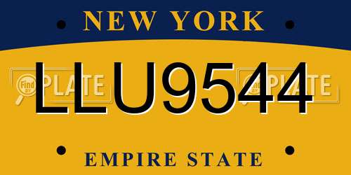 LLU9544 New York License Plate