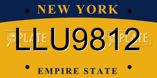 LLU9812 New York License Plate