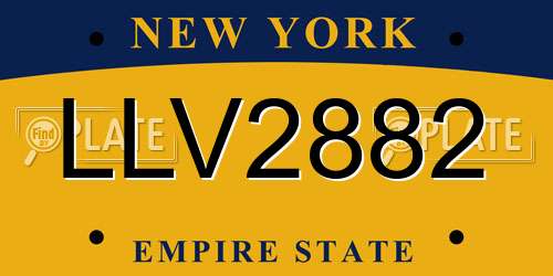 LLV2882 New York License Plate