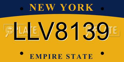 LLV8139 New York License Plate
