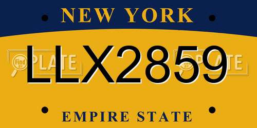 LLX2859 New York License Plate