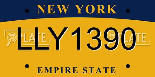 LLY1390 New York License Plate