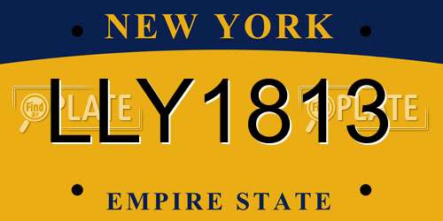 LLY1813 New York License Plate