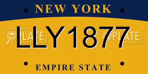 LLY1877 New York License Plate