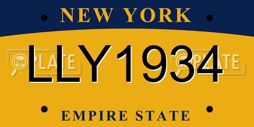 LLY1934 New York License Plate